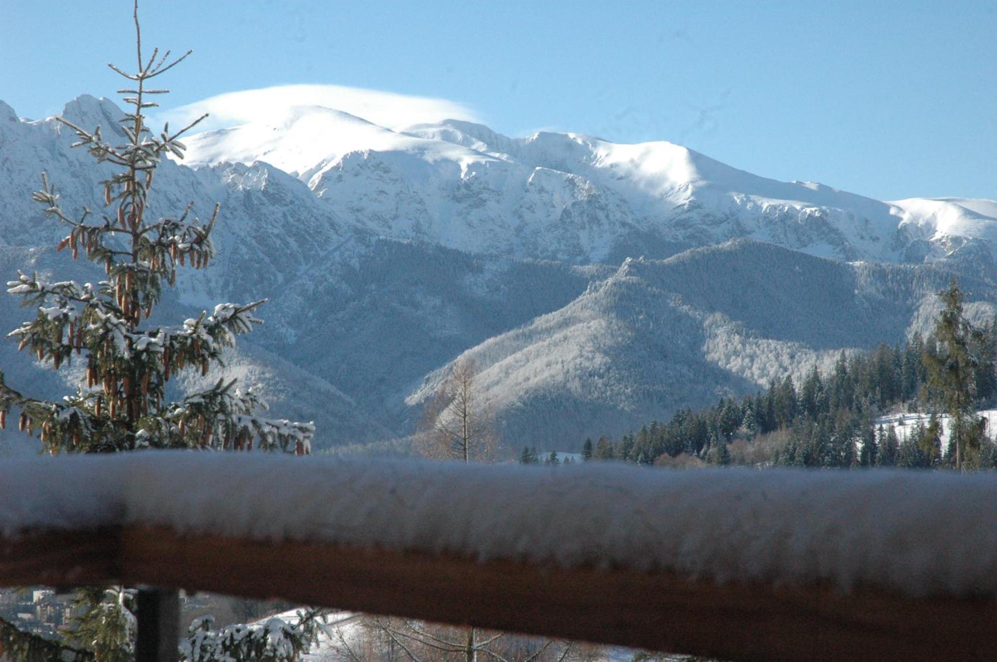 Widok Apartamenty Zakopane Exterior foto